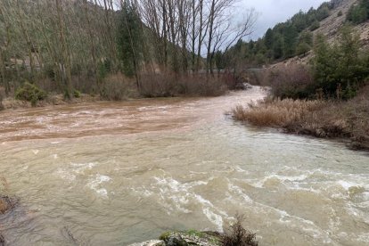 Crecida del río Lobos en el Cañón.-FÉLIX BARRIO