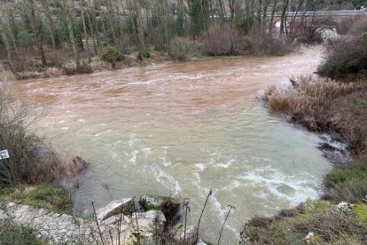 Crecida del río Lobos en el Cañón.-FÉLIX BARRIO