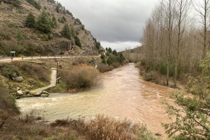 Crecida del río Lobos en el Cañón.-FÉLIX BARRIO