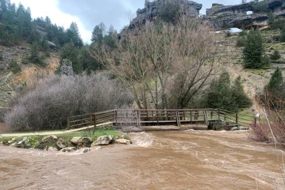 Crecida del río Lobos en el Cañón.-FÉLIX BARRIO