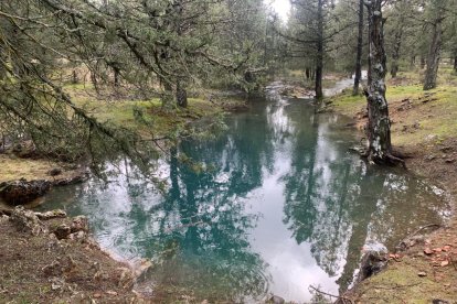 Crecida del río Lobos en el Cañón.-FÉLIX BARRIO