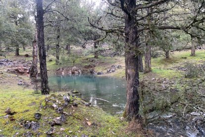 Crecida del río Lobos en el Cañón.-FÉLIX BARRIO
