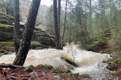 Crecida del río Lobos en el Cañón.-FÉLIX BARRIO