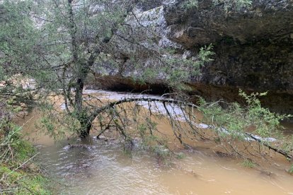 Crecida del río Lobos en el Cañón.-FÉLIX BARRIO