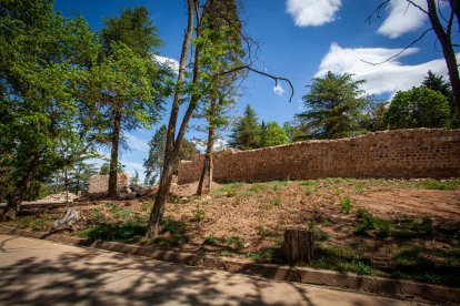 José Luis Corral y Fernando Cobos explican los hallazgos en la muralla junto al Castillo. MARIO TEJEDOR