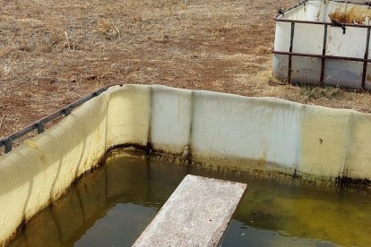 Abrevadero con una tabla flotando para que no se ahoguen las abejas. HDS