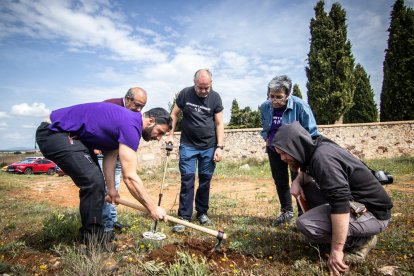 Trabajos de búsqueda de restos de asesinados y enterrados en el cementerio de Las Casas en la Guerra Civil.-GONZALO MONTESEGURO