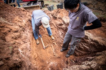Trabajos de búsqueda de restos de asesinados y enterrados en el cementerio de Las Casas en la Guerra Civil.-GONZALO MONTESEGURO