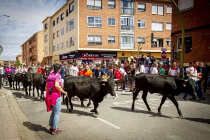 Encierro urbano - MARIO TEJEDOR (30)