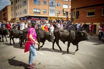 Encierro urbano - MARIO TEJEDOR (31)