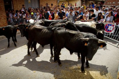 Encierro urbano - MARIO TEJEDOR (34)