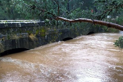 Covaleda Puente del paso de los Arrieros_resultado