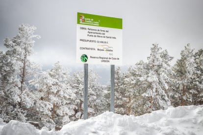 Punto de nieve de Santa Inés. GONZALO MONTESEGURO (49)