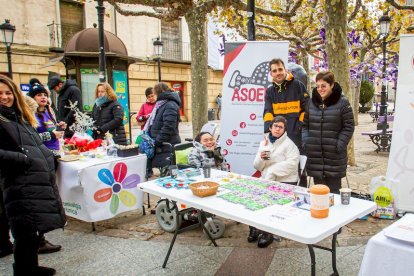 Día internacional de las personas con discapacidad. MARIO TEJEDOR (1)
