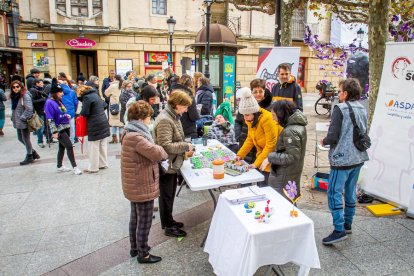 Día internacional de las personas con discapacidad. MARIO TEJEDOR (8)