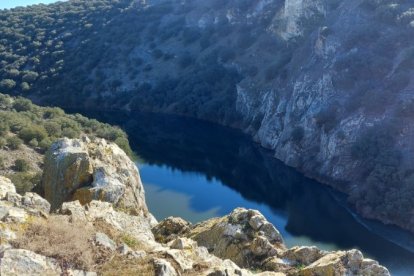 Los más famosos están en Salamanca y Zamora, junto a la frontera de Portugal, pero el Duero también 'Arribes' al poco de nacer, en Soria, y se pueden recorrer a pie desde Los Rábanos, a unos diez kilómetros de la capital soriana. Desde allí se pueda dar un sencillo paseo por el sendero turístico de Los Rábanos o, si se está en buena forma física, seguir por la senda del Duero (dificultad media) y contemplar paisajes como los que se ven en las fotografías.