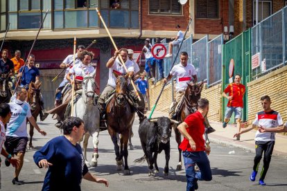Tramo urbano y llegada de los toros - MARIO TEJEDOR (3)