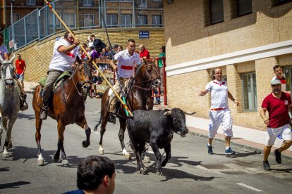 Tramo urbano y llegada de los toros - MARIO TEJEDOR (4)