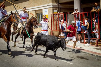 Tramo urbano y llegada de los toros - MARIO TEJEDOR (5)