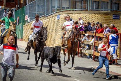 Tramo urbano y llegada de los toros - MARIO TEJEDOR (6)