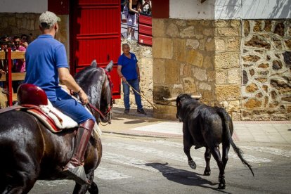 Tramo urbano y llegada de los toros - MARIO TEJEDOR (7)