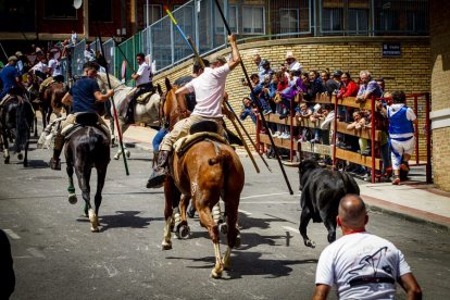 Tramo urbano y llegada de los toros - MARIO TEJEDOR (8)