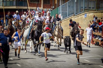 Tramo urbano y llegada de los toros - MARIO TEJEDOR (9)
