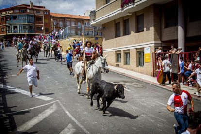 Tramo urbano y llegada de los toros - MARIO TEJEDOR (11)
