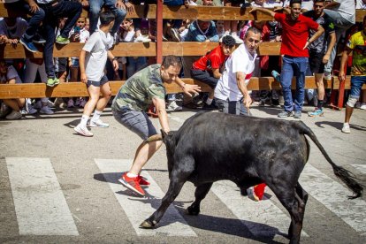 Tramo urbano y llegada de los toros - MARIO TEJEDOR (14)