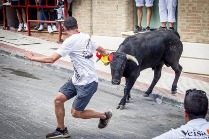 Tramo urbano y llegada de los toros - MARIO TEJEDOR (16)
