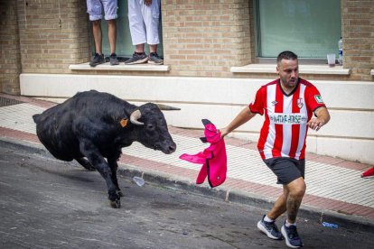 Tramo urbano y llegada de los toros - MARIO TEJEDOR (17)