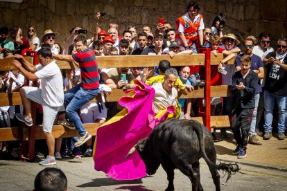 Tramo urbano y llegada de los toros - MARIO TEJEDOR (20)