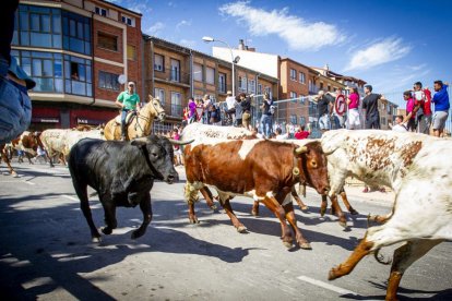 Tramo urbano y llegada de los toros - MARIO TEJEDOR (29)