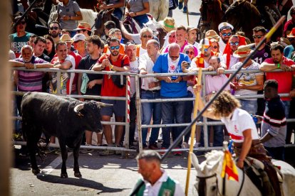 Tramo urbano y llegada de los toros - MARIO TEJEDOR (34)