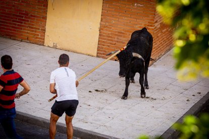 Tramo urbano y llegada de los toros - MARIO TEJEDOR (37)