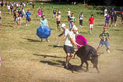 San Juan 2022 La Compra - MARIO TEJEDOR (30)