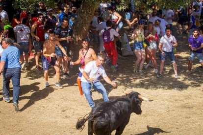 San Juan 2022 La Compra - MARIO TEJEDOR (48)