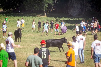 San Juan 2022 La Compra - MARIO TEJEDOR (52)