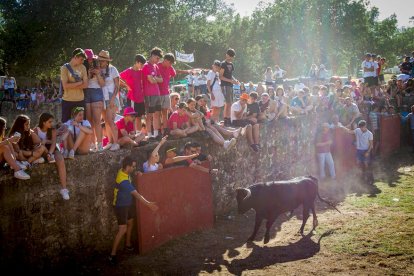 San Juan 2022 La Compra - MARIO TEJEDOR (89)