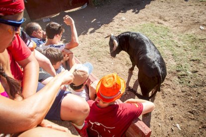 San Juan 2022 La Compra - MARIO TEJEDOR (91)