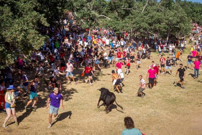 San Juan 2022 La Compra - MARIO TEJEDOR (107)