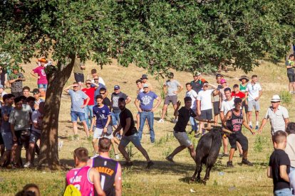 San Juan 2022 La Compra - MARIO TEJEDOR (114)