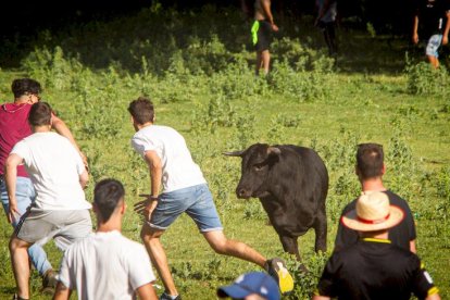 San Juan 2022 La Compra - MARIO TEJEDOR (122)