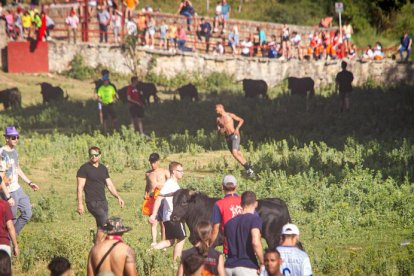 San Juan 2022 La Compra - MARIO TEJEDOR (123)