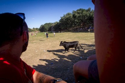 San Juan 2022 La Compra - MARIO TEJEDOR (125)