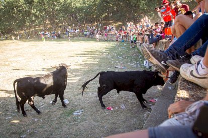 San Juan 2022 La Compra - MARIO TEJEDOR (126)