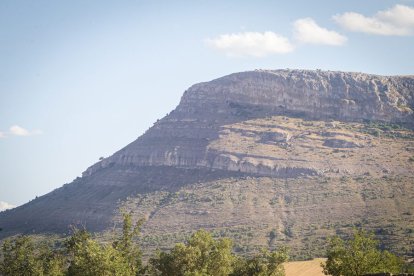 San Juan 2022 La Compra - MARIO TEJEDOR (131)