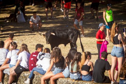 San Juan 2022 La Compra - MARIO TEJEDOR (1)
