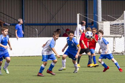 I Torneo Elige Soria de fútbol 7 Benjamín - MARIO TEJEDOR (21)