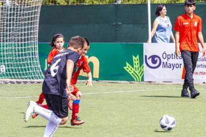 I Torneo Elige Soria de fútbol 7 Benjamín - MARIO TEJEDOR (2)